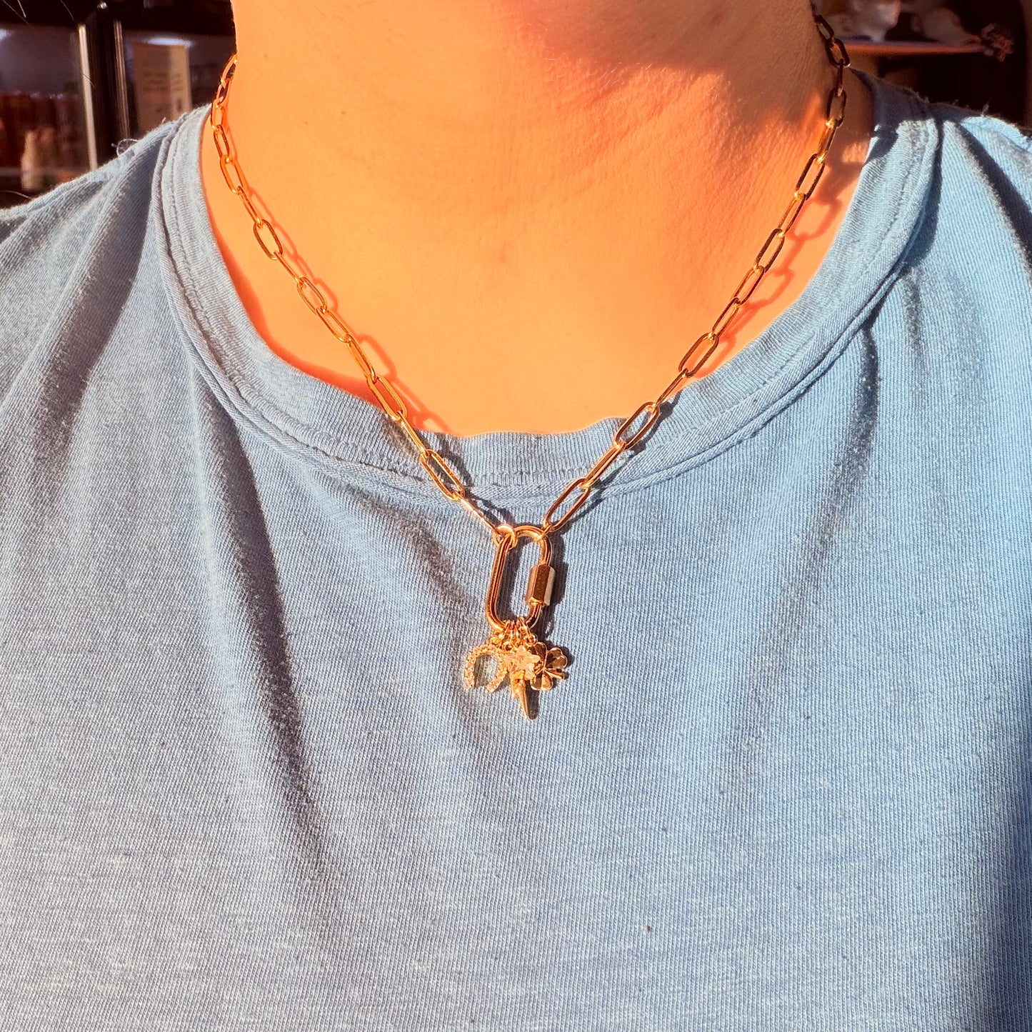 Charmer Necklace